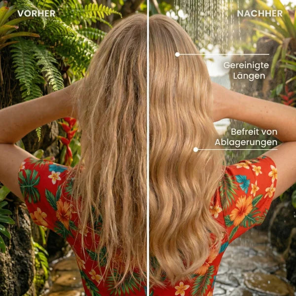 Holoi Shampoo
