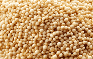 Bio-Amaranth