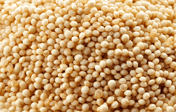 Bio-Amaranth