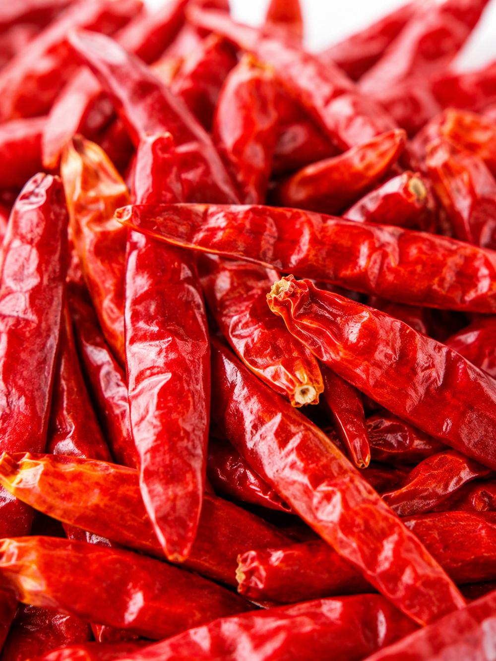 Bio-Chili: scharf gedacht, sanft gepflegt