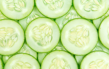 Bio-Gurke