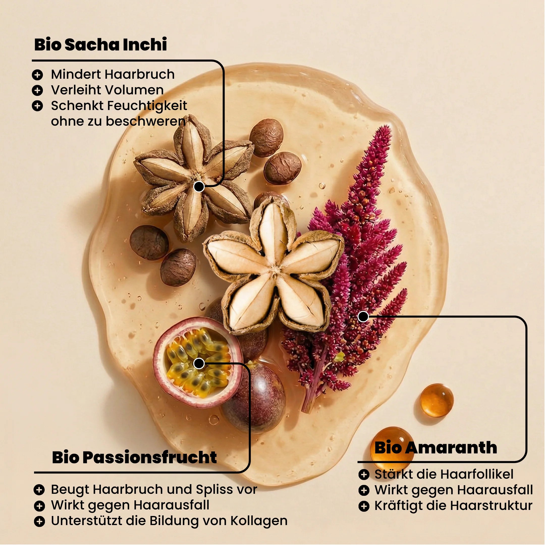 Piha Shampoo